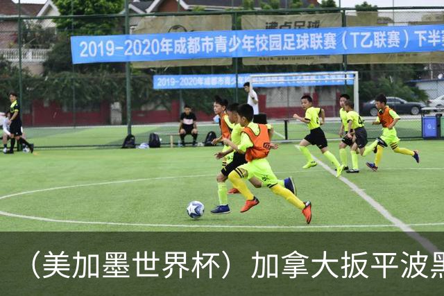 （美加墨世界杯）加拿大扳平波黑 获队史世界杯首分